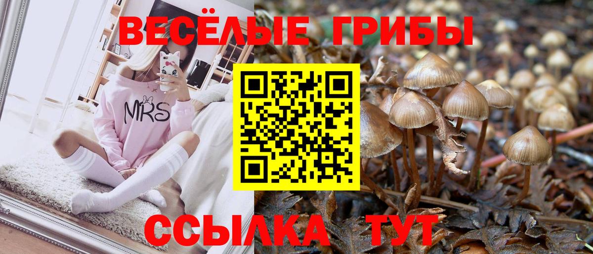 Псилоцибиновые грибы Cubensis Волгоград