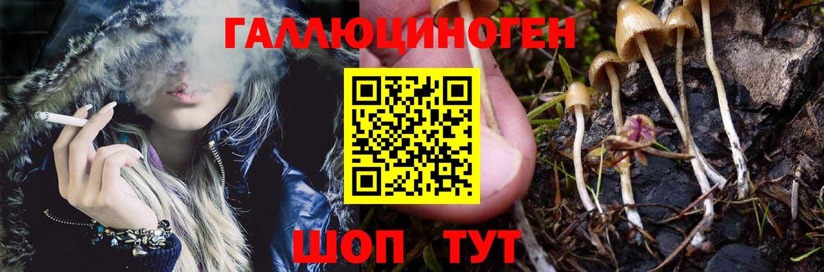 Волгоград  Псилоцибиновые грибы Psilocybine cubensis  купить наркоту  Вход с VPN 